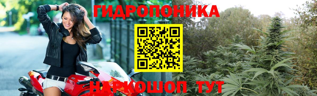 Бошки марихуана Bruce Banner  Вход с VPN  Шишки марихуана VHQ  Мичуринск  Каннабис сатива 